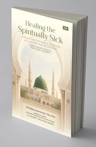(image for) Healing the Spiritually Sick